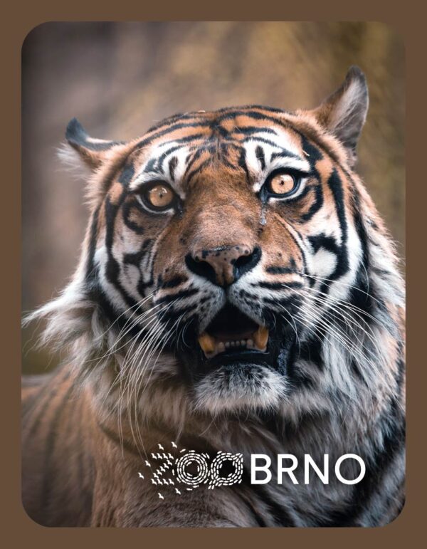 ZOO BRNO