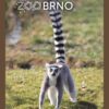 ZOO BRNO
