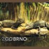 ZOO BRNO