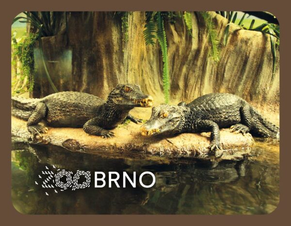 ZOO BRNO