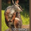 ZOO BRNO