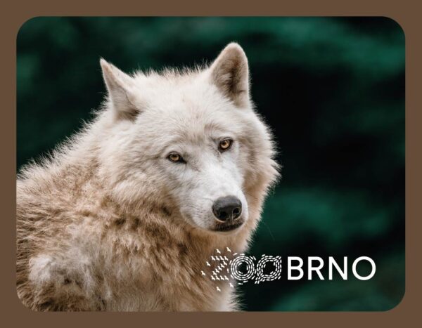 ZOO BRNO