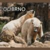 ZOO BRNO