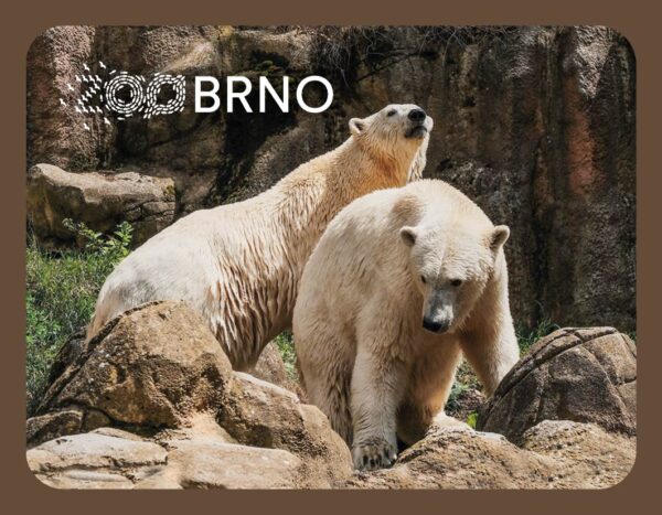 ZOO BRNO