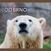 ZOO BRNO