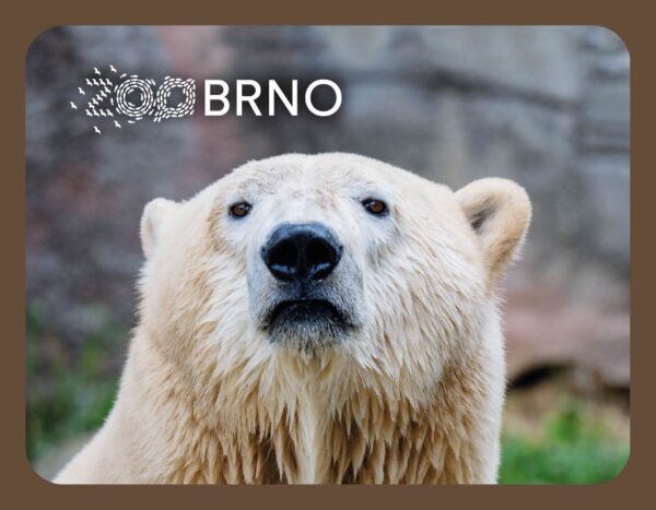 ZOO BRNO